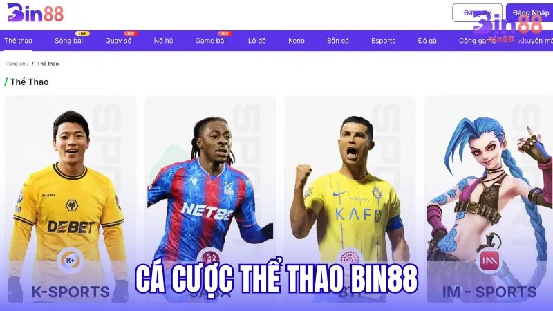 Cá Cược Thể Thao BIN88