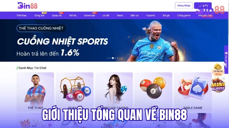 Giới thiệu tổng quan về BIN88