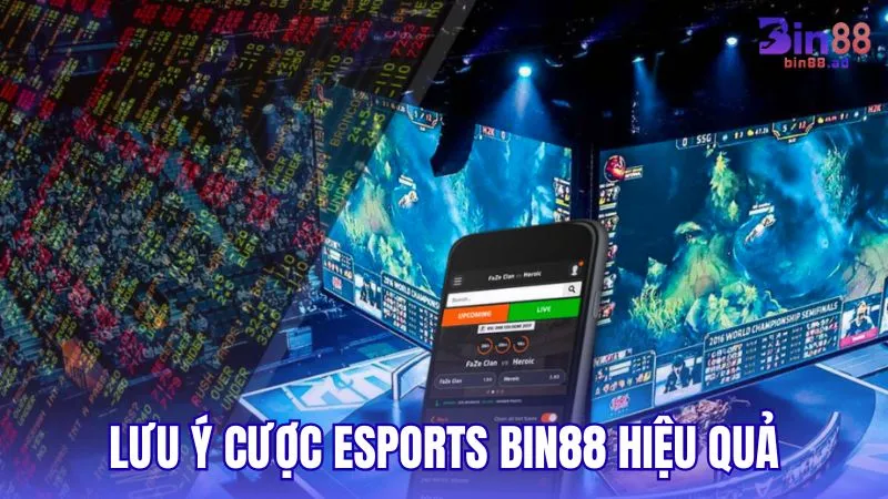 Những lưu ý để cá cược Esports BIN88 hiệu quả