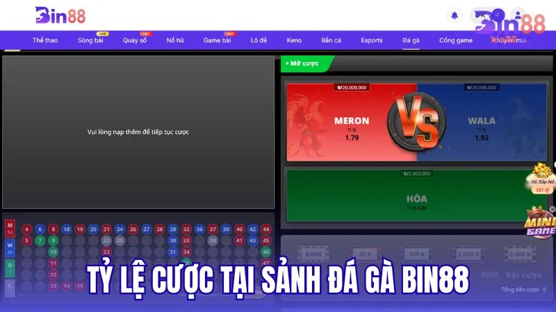Tỷ lệ cược tại sảnh Đá Gà BIN88