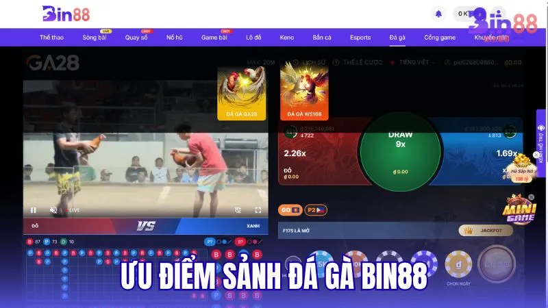 Ưu điểm khi tham gia sảnh Đá Gà BIN88