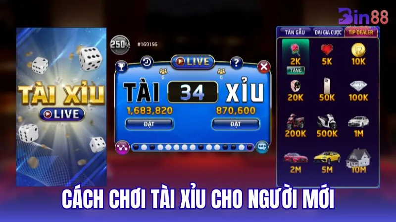 Cách chơi Tài Xỉu: Những điều cần biết khi bắt đầu