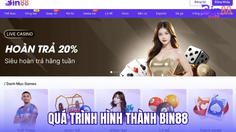 Quá trình hình thành