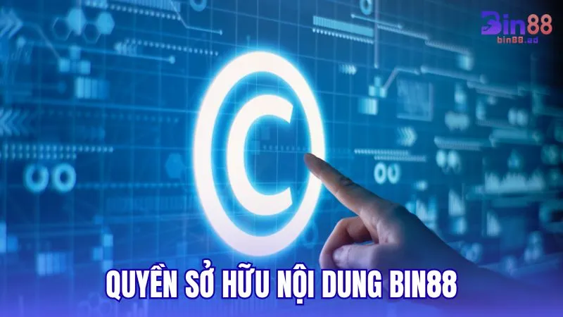 Quyền sở hữu trí tuệ và nội dung hiển thị trên BIN88
